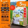 無洗米 玄米 白米 5kg 今ずり米 農薬不使用 コシヒカリ 令和3年産 送料無料