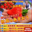 【2箱以上で送料無料...