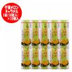 北海道 夕張メロン キャラメル 夕張メロンの果汁パウダー使用 北海道 夕張メロン キャラメル 1箱(18粒入)×10個入 価格1830円