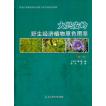 [中国語簡体字] 大興安嶺野生経済植物原色図鑑  第１巻