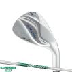 Dolphin Wedge 【即納】 キャスコ ドルフィンウェッジ DW-125G クロム