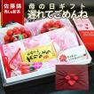 さくらんぼ 山形県産 ...
