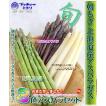 【送料無料】3色アスパラセット◇北海道産◇食べ比べてみたかった♪グリーン・ムラサキ・ホワイト