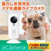 セキュリティカメラ ...