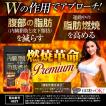 ダイエット サプリメント 燃焼系 サプリ 燃焼革命 Premium ブラックジンジャー 燃焼 カプサイシン