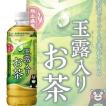 お茶 緑茶 ペットボト...