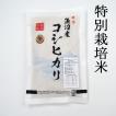 コシヒカリ 新潟 魚沼産コシヒカリ 令和5年  ポイント消化  特別栽培米魚沼産 低農薬 コシヒカリ 1kg  1キロ  うるち米（精白米） プレゼント