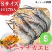 冷凍／オニテナガエビ（Sサイズ）500g（16-17匹入り）送料無料　アジアン食材　海老　海産物　エビ　魚介