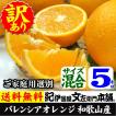 紀州有田産　わけあり柑橘・国産バレンシアオレンジ（買得品5kg）ご家庭用