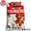 送料無料ホールイチゴ...