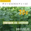 ハーブ　チャービル セルフィーユ 30g 特別栽培農産物 美食家のパセリ 美食家のハーブ スムージー 野菜ジュース サラダに最適　岡山県産　