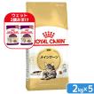 ロイヤルカナン（ROYAL CANIN） 猫 メインクーン 成猫用 生後15ヵ月