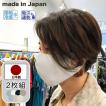 マスク 日本製 2枚 接触冷感 夏 ひんやり 冷たい 吸汗速乾 立体 男女兼用 メンズ レディース 女性 男性 大人 在庫あり 夏素材 クール UVカット