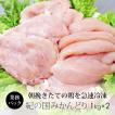 鶏肉 国産 紀の国みかんどり むね肉＆ささみ 2kg 業務用 (冷凍)