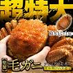 北海道産 ボイル済み浜茹で毛蟹 特大サイズ800g×1尾【本州・四国エリア送料無料】毛ガニお取り寄せギフトにオススメ