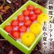 手書カードつき 送料...