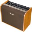 Fender ACOUSTIC 100 ...