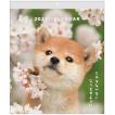 50％OFF】2026Calendar 午 夢 壁掛けカレンダー2026年 岡本肇