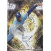 BBM 2016 FUSION 岡副麻希 FP18 始球式カード : トレカショップ CLEAR