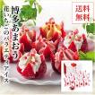 お中元 花いちごのバ...