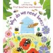 Why do we need bees? | 洋書 英語 絵本 しかけ 知育 海外 Picture book 子ども なぜ？