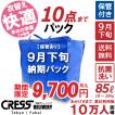 期間限定セール 11,200円→ クーポン使用で9,700円 クリーニング 宅配 詰め放題 ダウン クレス クリーニング 保管  (9月下旬青10点タタミ) 保管あり