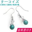 (ポイント還元 7％)パワーストーン ピアス ターコイズ(=12月誕生石)(健康運 災難除け 災害除け)天然素材 開運アクセサリー 御守り ギフト