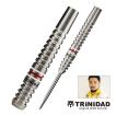 ダーツ バレル TRiNiDAD PRO Gomez 12 2BA STEEL トリニダード プロ ゴメス12 山田勇樹 選手考案モデル (ポスト便OK/5トリ)