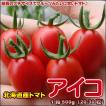 トマト アイコ 北海道...