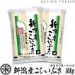新潟米 令和5年産 新潟産こしいぶき 10kg (5kg×2袋) 新潟米の奏-2 新潟県産 新潟米 白米 お米 送料無料 ギフト対応