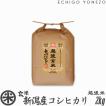 新潟米 令和5年産 玄米 新潟産コシヒカリ 2kg (2kg×1袋) 新潟米 お米 新潟県産 こしひかり 堀商店 送料無料 ギフト対応