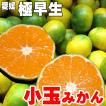 愛媛みかん 西宇和産...