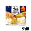 明治北海道十勝カマンベールチーズ 90g×9個　クール便　切れてるタイプ　クセが少なくて中がとろ〜りやわらかい　まろやかな味わい