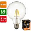 LDG3L C6 LEDフィ...