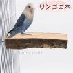 鳥 止まり木 りんご 鳥用止まり木 階段 遊び場 天然木 リンゴの木 大きめ 半円 インコ オウム カナリヤ モモンガ リス 鳥用 林檎 自然木