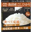 米 白米 5kg 令和5年産 魚沼産コシヒカリ HIBARI 環境配慮米 【品質管理徹底】 ミシュラン店様御用達米 HIBARI 新潟県産