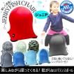 (取寄品) 転がらない...