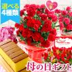 母の日 プレゼント 花とスイーツ 選べる4種 花鉢 と はちみつカステラ スイーツセットA 鉢花 2024 FKHH