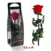 ★バラ１本＜ショートステムローズ＞ケース入り★ 誕生日 ホワイトデー 母の日 クリスマス プレゼント ノベルティー ブライダル ギフト ケース　ケース付き