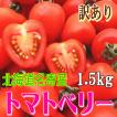 北海道名寄産 訳あり...