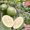 レモン 国産レモン 送...