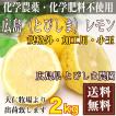 【クール便無料・規格...