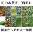 静岡新茶(2024年産)