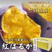 さつまいも 5kg 紅は...