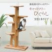 キャットツリーひぐらし