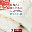 [選べる特典付]布団セット シングル 日本製 人気の無地タイプ 羊毛混掛け敷き2点セット/布団セット[布団セット 組布団セット