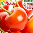 【予約】 お中元 フル...