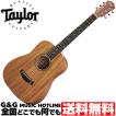 【送料無料】Taylor G...