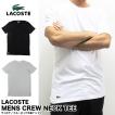 ラコステ LACOSTE 半...