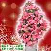 【11月上旬〜】 ギフト 本物のポインセチアで仕立てたクリスマスツリー 背丈1メートル 9号鉢植え 冬花火 ピンクのポインセチア 大鉢 プリンセチア